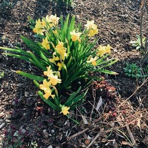 Meet your Posher, Erika